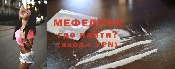 гидра Каменка