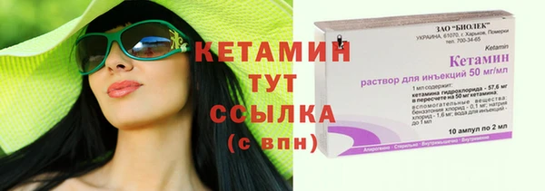 гидра Каменка