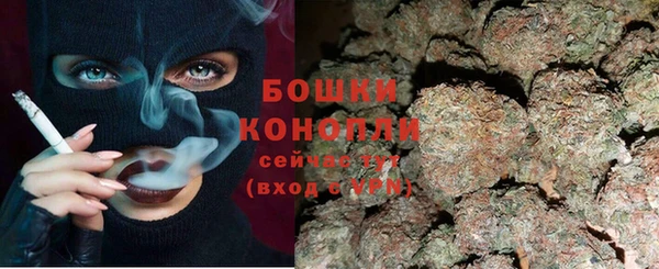 гидра Каменка