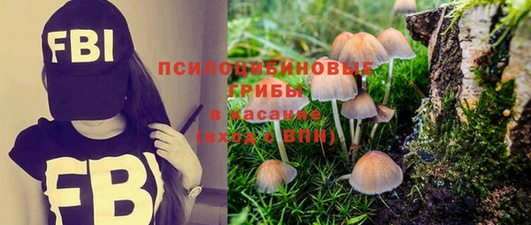 спайс Каменск-Шахтинский