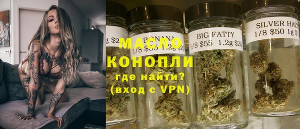гидра Каменка