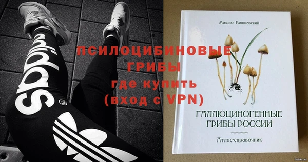 гидра Каменка