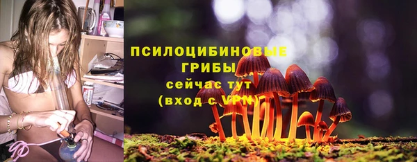 мет Каменногорск