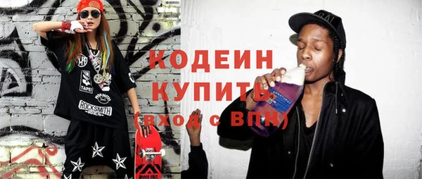 гидра Каменка