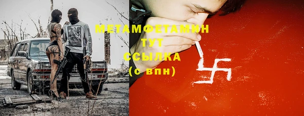 гидра Каменка