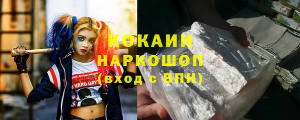 гидра Каменка