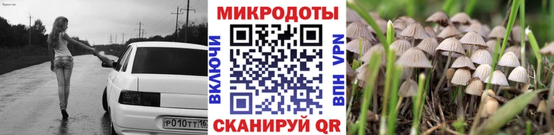 где можно купить наркотик  Дудинка  Галлюциногенные грибы мицелий 